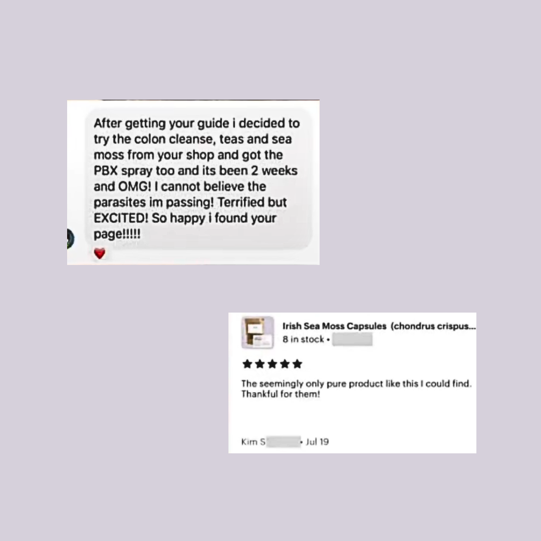 Irish Sea Moss (Wild Crafted): Makes 2-3 Jars of Sea Moss Gel 2 oz