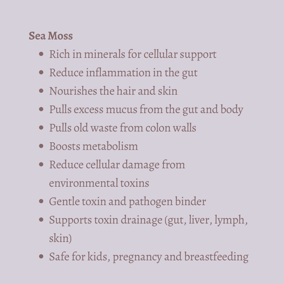 Irish Sea Moss (Wild Crafted): Makes 2-3 Jars of Sea Moss Gel 2 oz