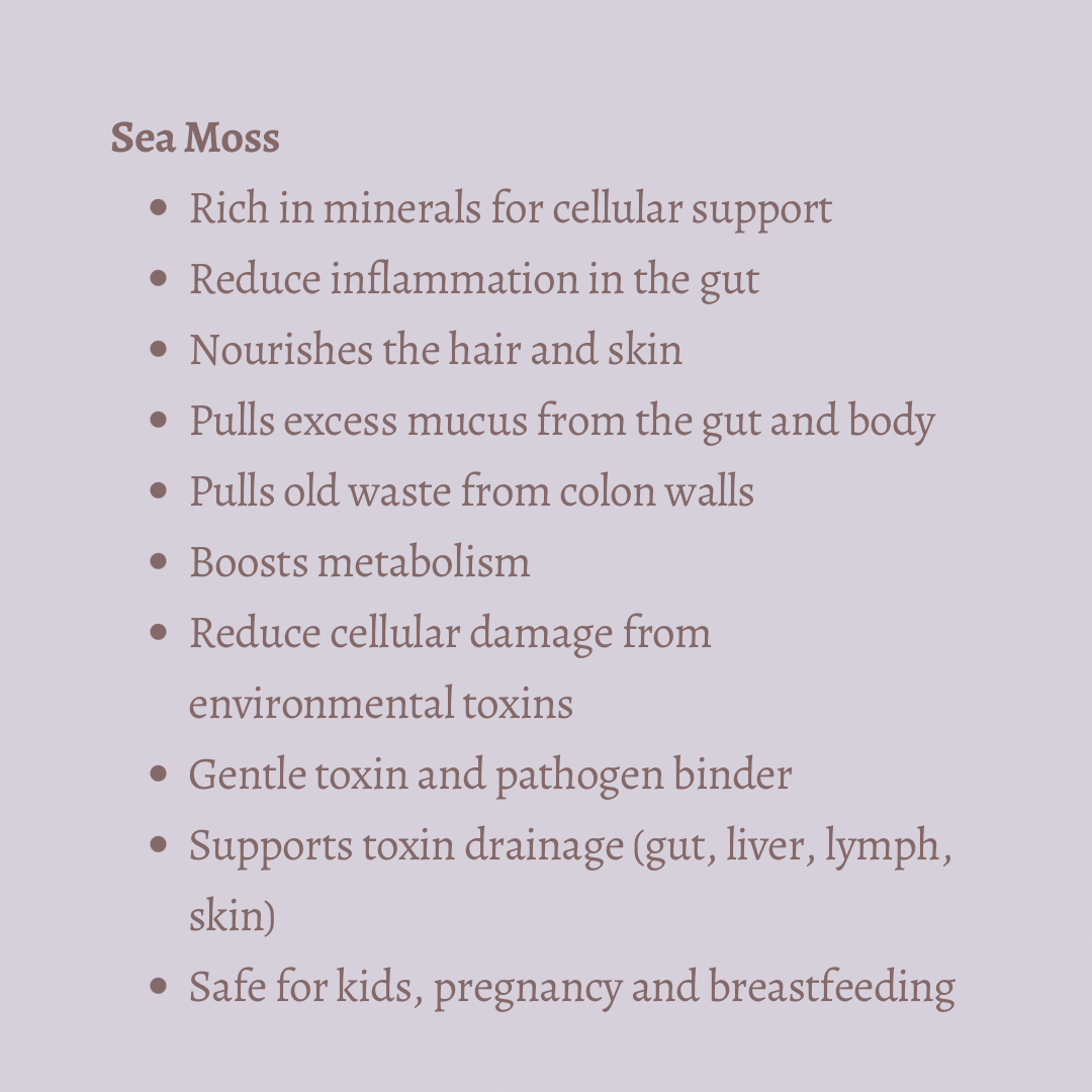Irish SEA MOSS Capsules (fill in mineral deficiencies, boost skin health, gut health, & more)